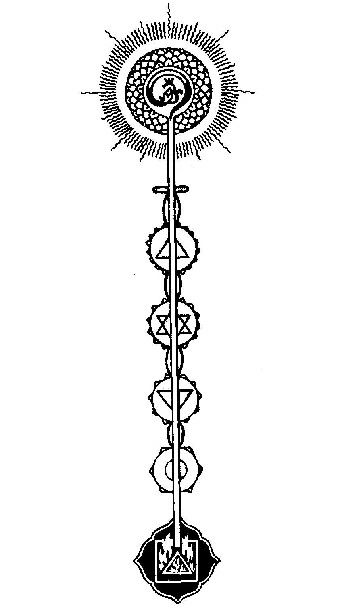 Seven Chakras of Kundalini yoga illustration